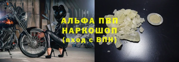 индика Волосово