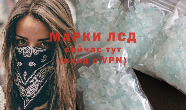 индика Волосово