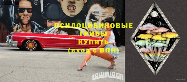 индика Волосово