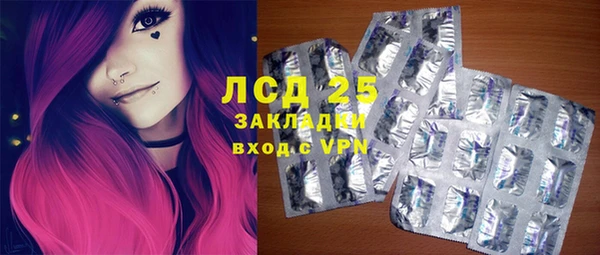 индика Волосово