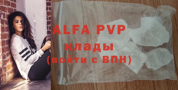 индика Волосово
