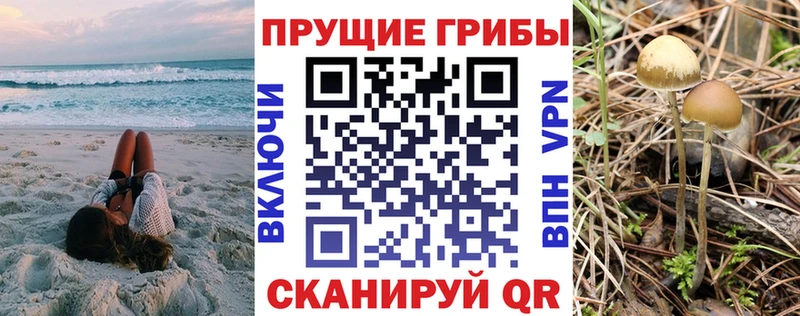 Галлюциногенные грибы MAGIC MUSHROOMS  Дедовск 