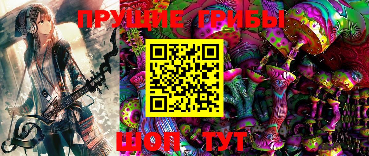 Псилоцибиновые грибы мицелий Дедовск